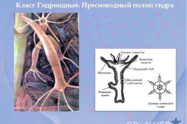 Кракен маркетплейс что